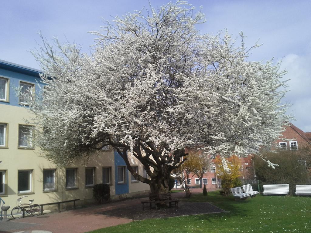 Hotel Bertramshof Wismar Bagian luar foto